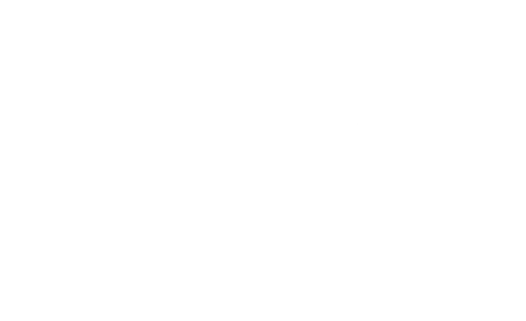 giuliameroni.com